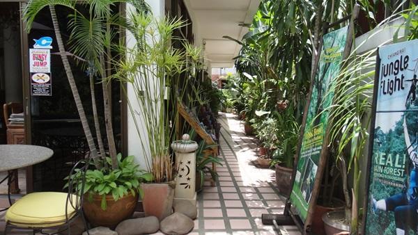 The Red Hibicus Guest House Chiang Mai Luaran gambar